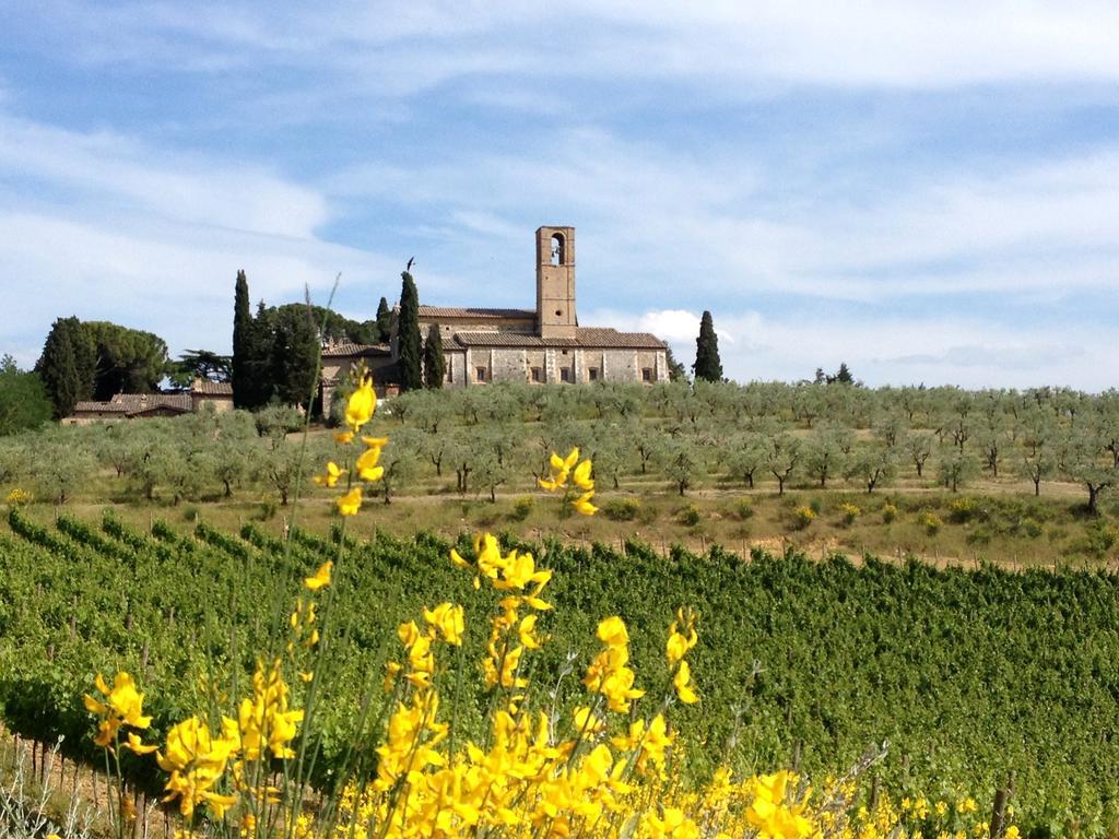 Fattoria Abbazia Monte Oliveto Villa San Gimignano Bagian luar foto