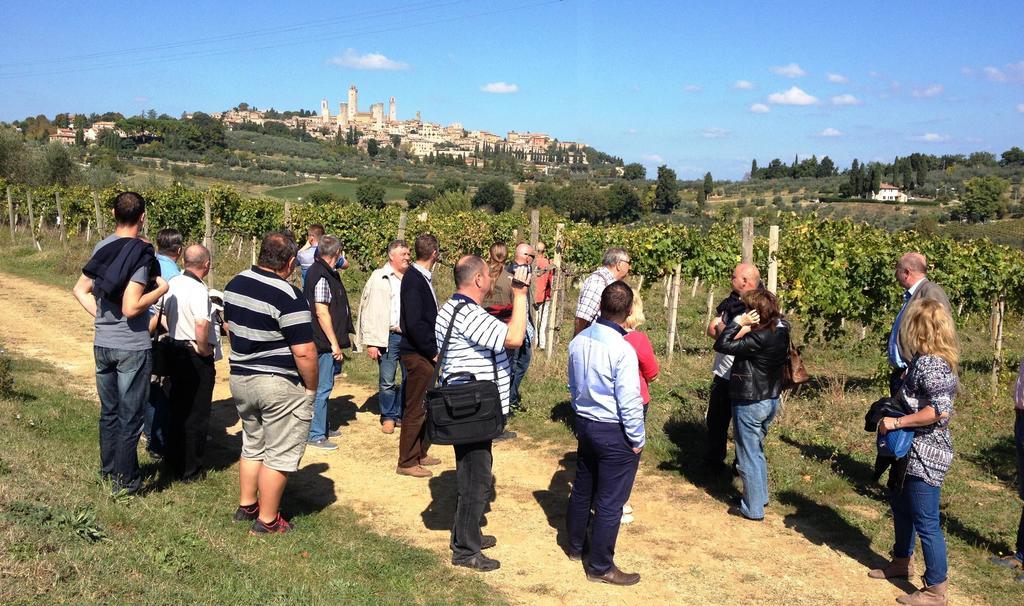 Fattoria Abbazia Monte Oliveto Villa San Gimignano Bagian luar foto