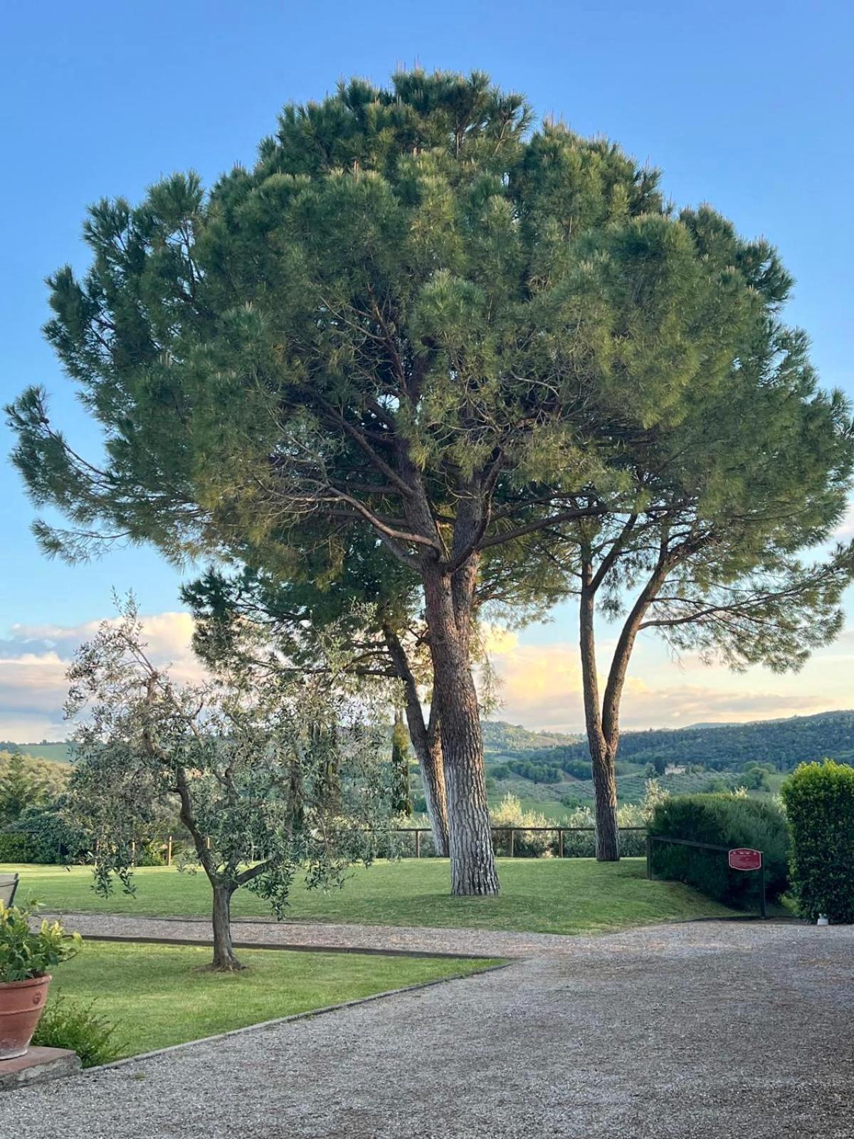 Fattoria Abbazia Monte Oliveto Villa San Gimignano Bagian luar foto
